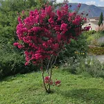 Le Moulin בית נופש *