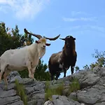 Le Moulin Σπίτι διακοπών *